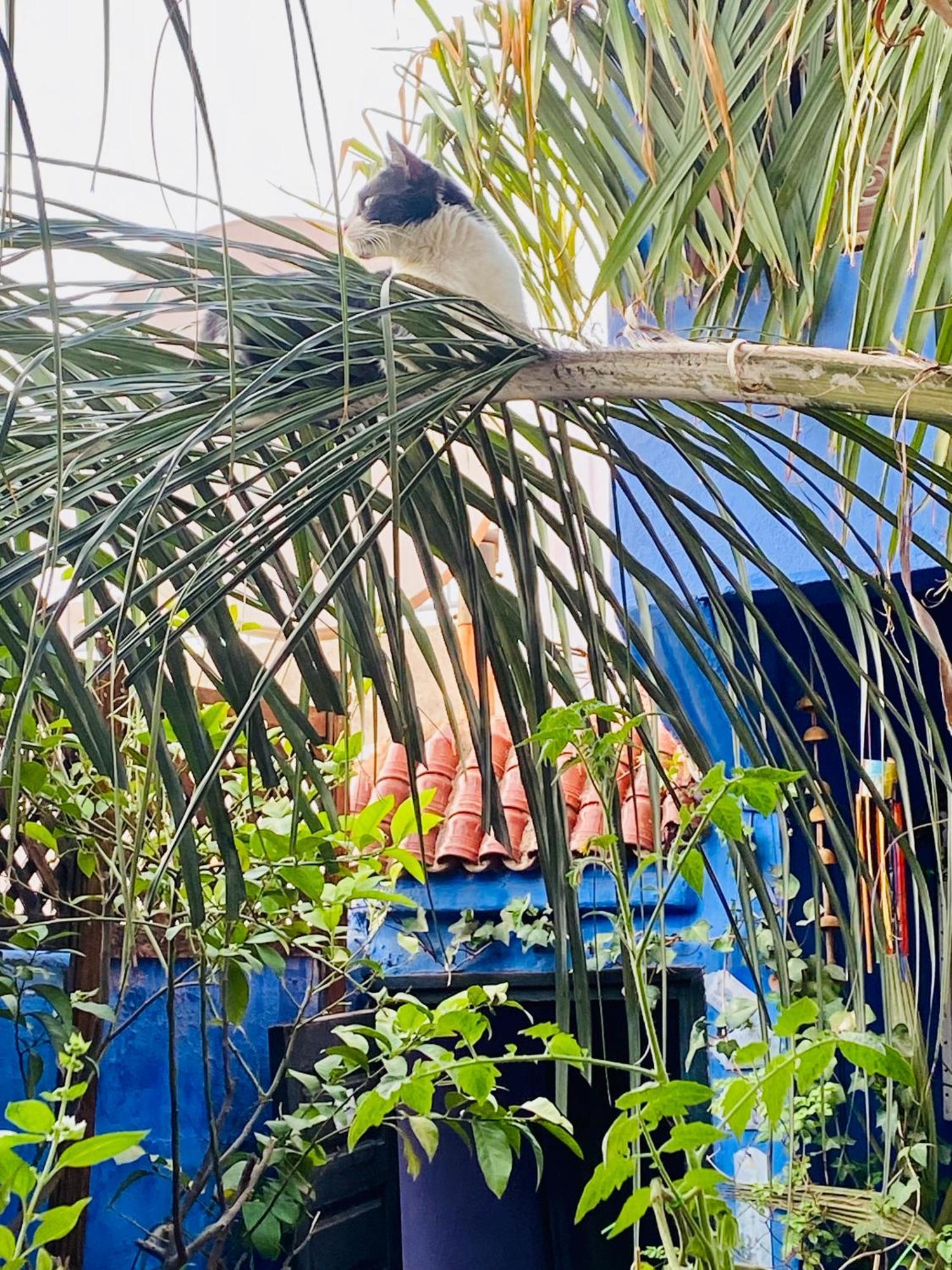 リヤド アラマイン マラケシュ エクステリア 写真
